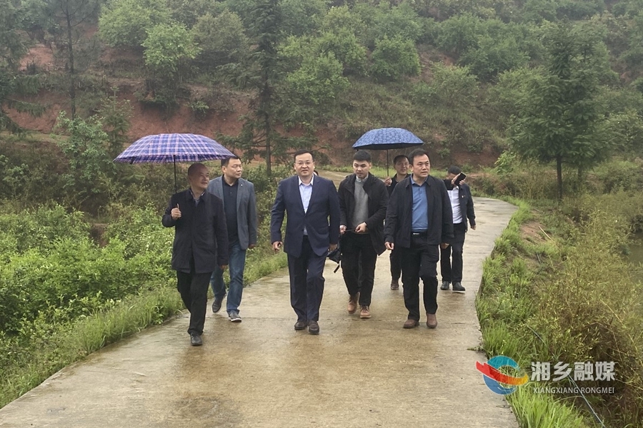 郭勇调研油茶产业发展：打造示范基地 打响特色品牌