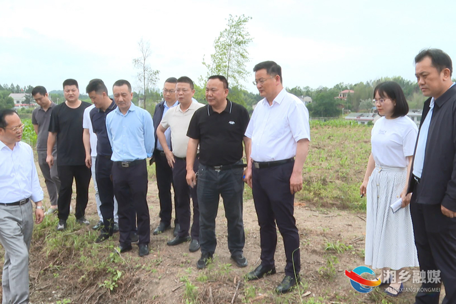 赵新文督导“春苗”行动时强调：让新增耕地有潜力 人民群众有效益