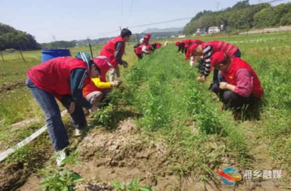 @湘乡人 你点单我来办！