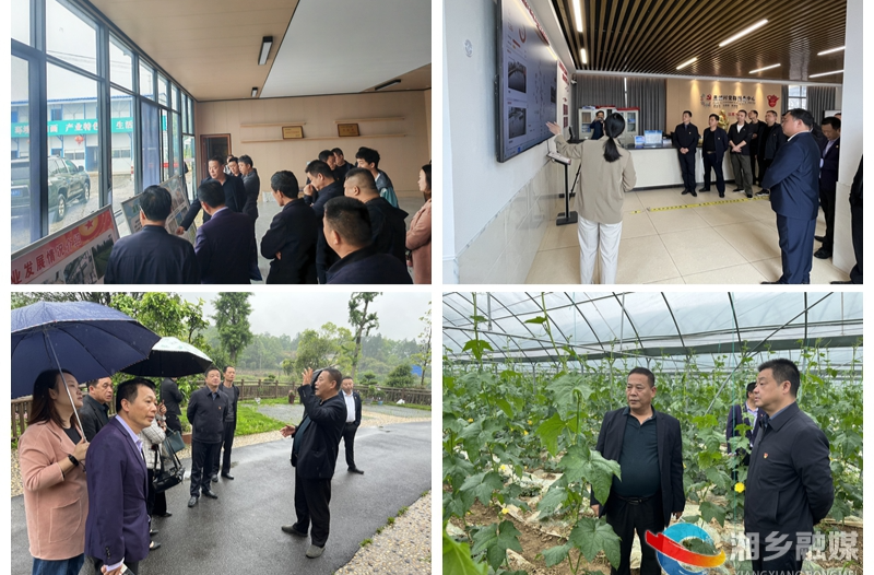 [翻江镇]考察交流促提升 学习借鉴谋发展