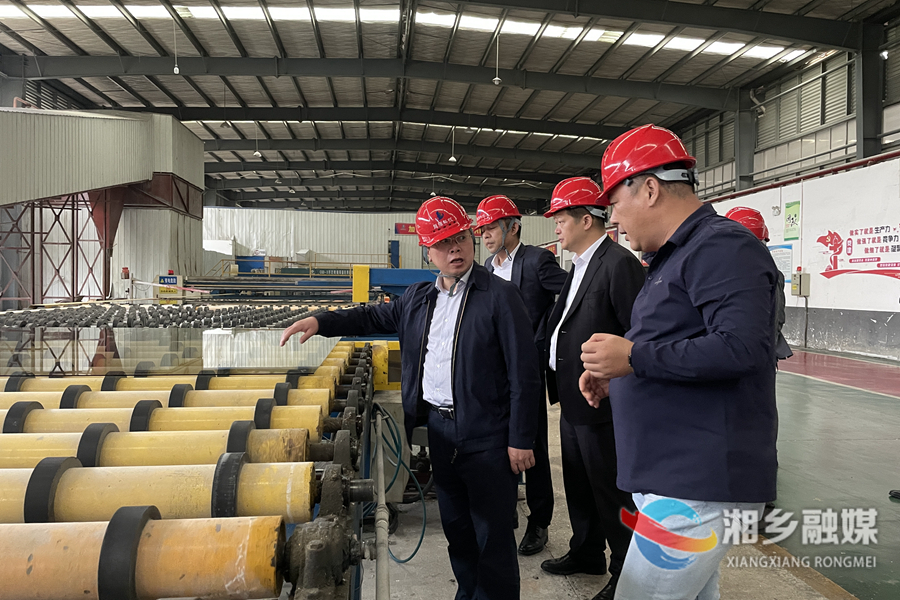 省地方金融监管局来我市调研绿色金融和转型金融工作