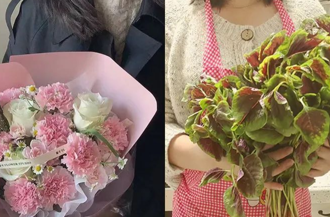 母亲节 | 寸草春晖，感恩最美