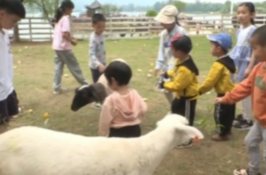 不出湘乡，家门口的游玩地走起！