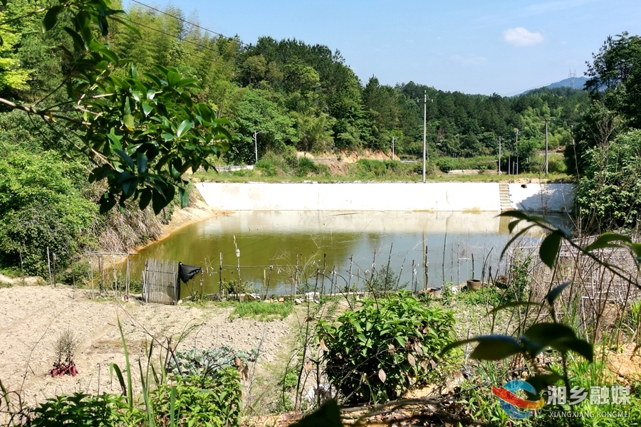 湘潭湘乡：打造农业灌溉水利“网” 让万亩农田“喝饱水”