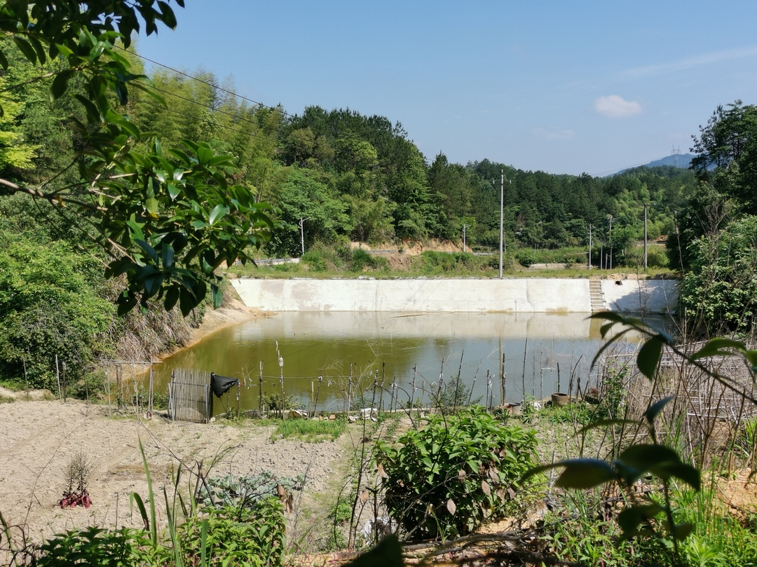 【“湘”村振兴】湘乡：打造农业灌溉水利“网” 让万亩农田“喝饱水”