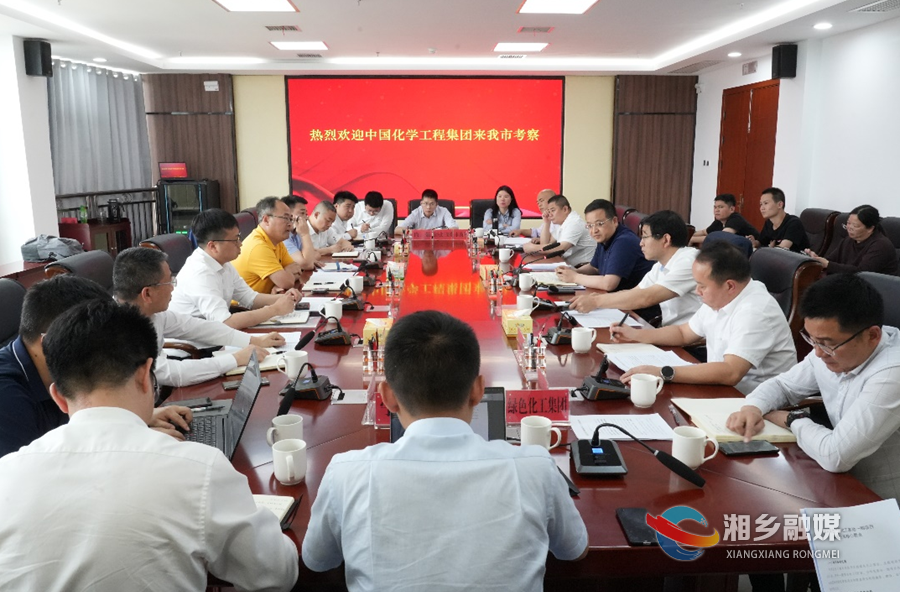 郭勇会见中国化学工程集团考察组一行