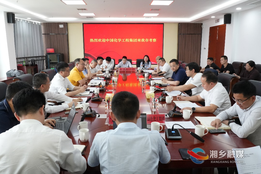 郭勇会见中国化学工程集团考察组一行