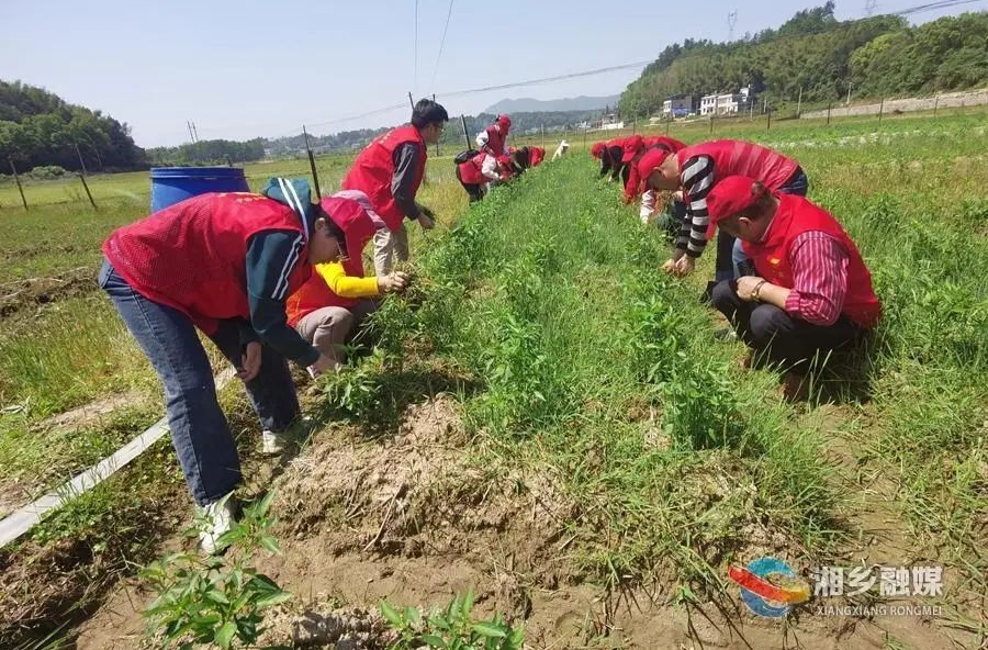 @湘乡人 你点单我来办！