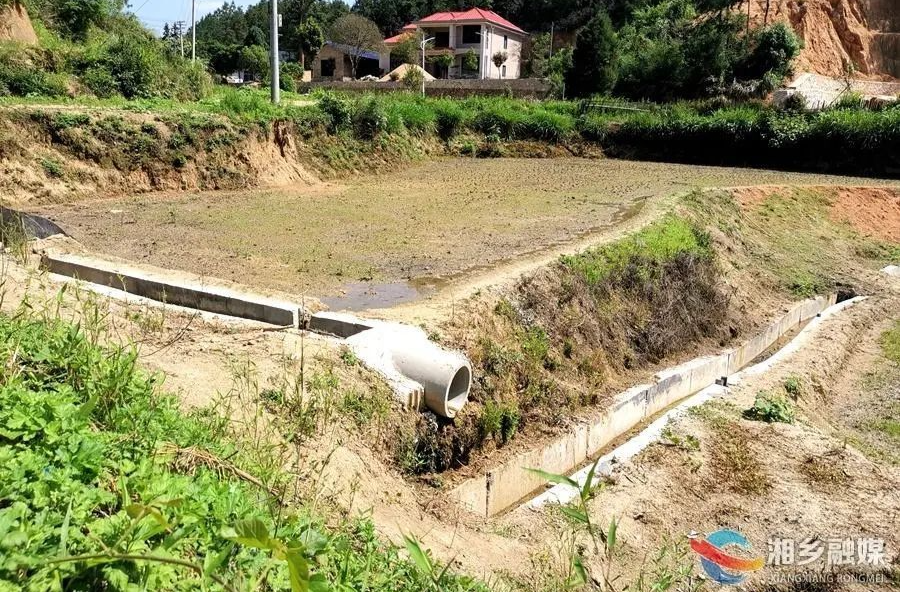 打造农业灌溉水利“网” 让湘乡万亩农田“喝饱水”