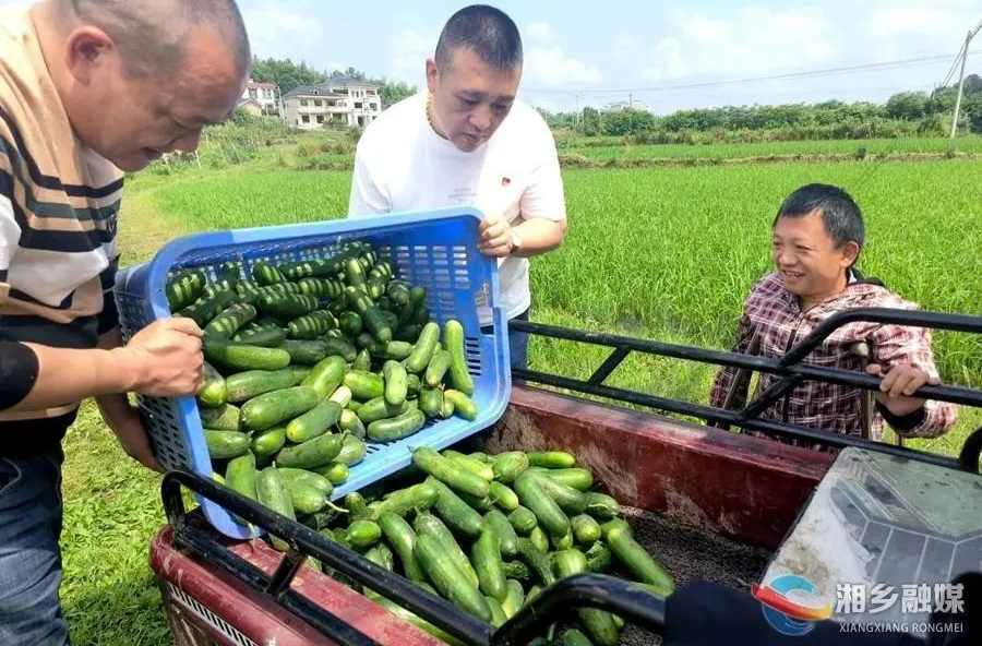 湘乡励志“钢铁侠”有难处，他们说：帮！