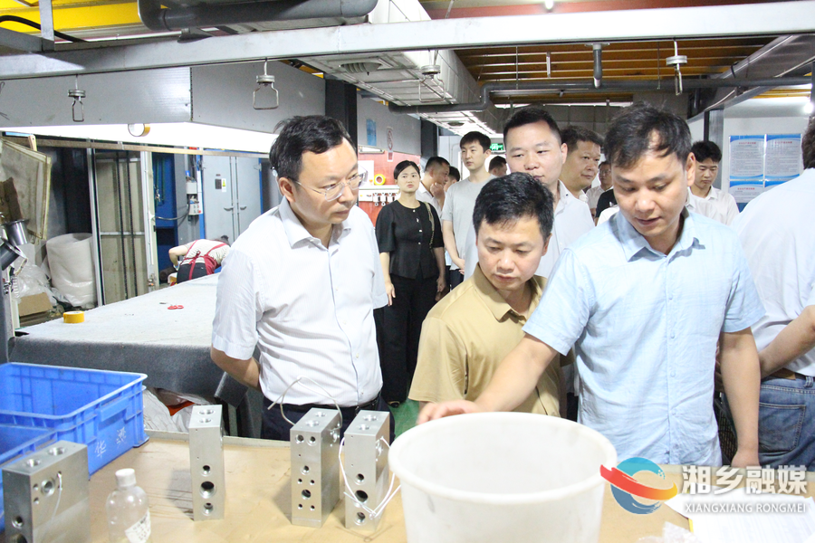 谋求合作共赢！长沙市雨花经开区来湘乡调研电镀产业发展
