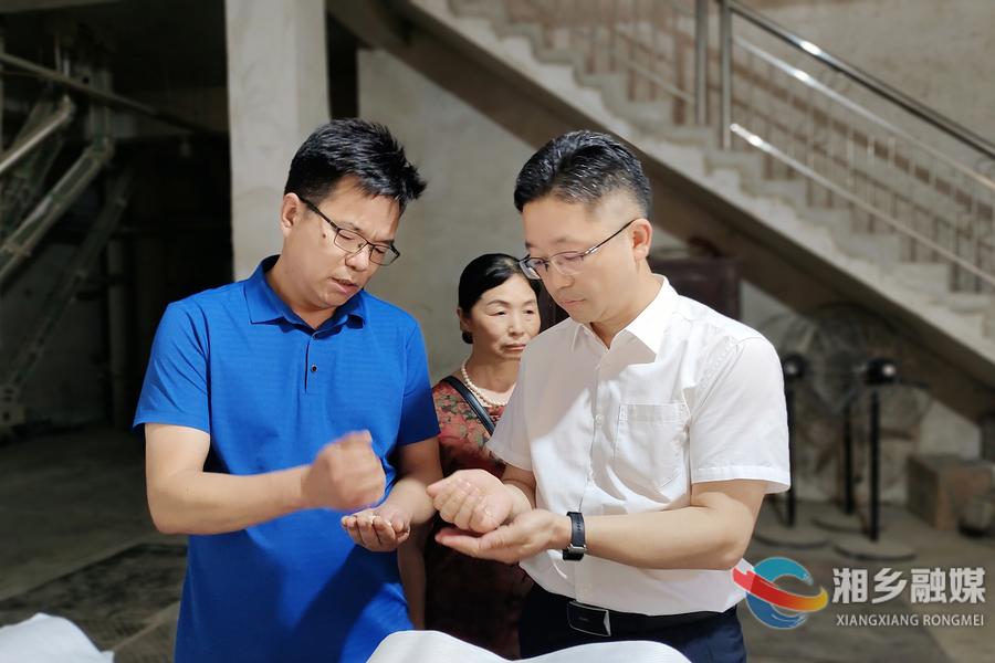 谢岸烨到月山镇调研米粉专用米产业