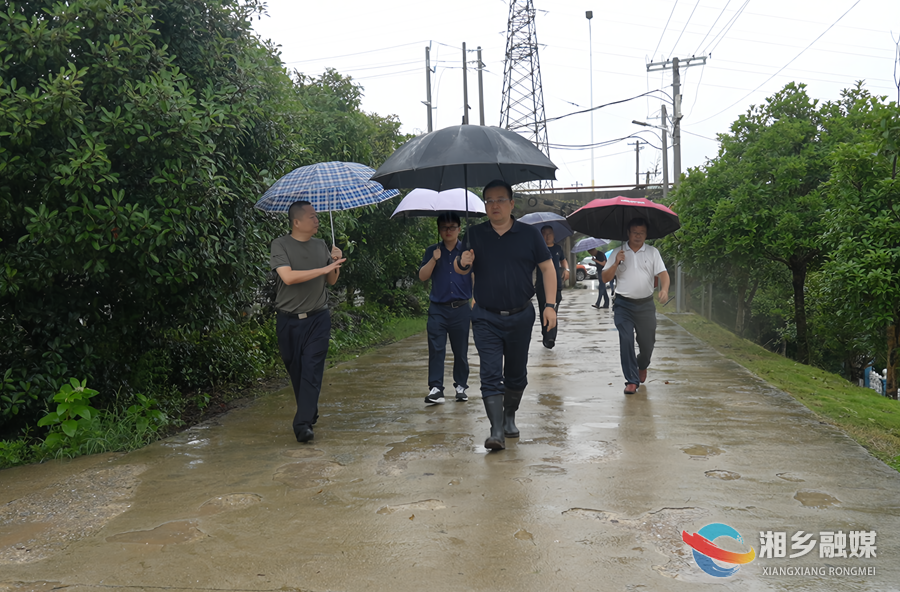 郭勇赴乡镇督查防汛备汛、突出生态环境问题整改等工作