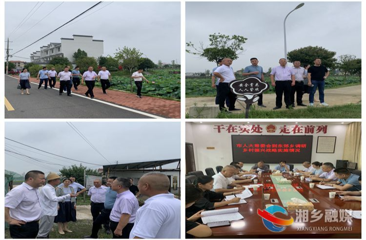 [东郊乡]发挥人大作用 聚力乡村振兴