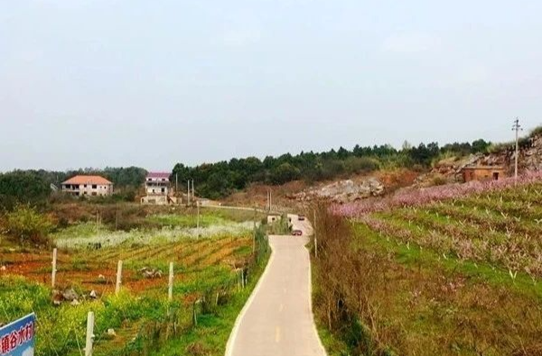 从“灰头土脸”到“披绿重生”，看湘乡矿山复绿展新颜