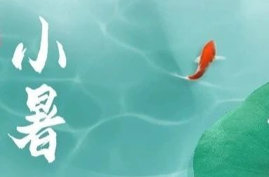 小暑至，风吹荷叶满庭香，人间静好岁月长