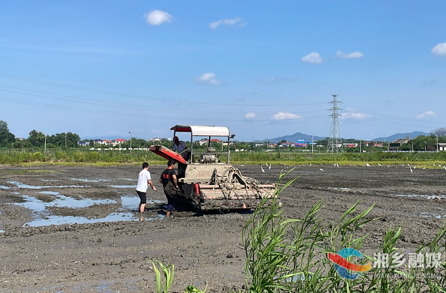 “双抢”正当时，湘乡农机应急维修小分队24小时待命......