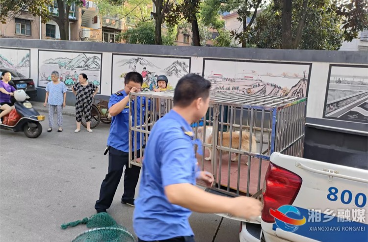 [望春门街道]依法文明养犬 共建和谐家园