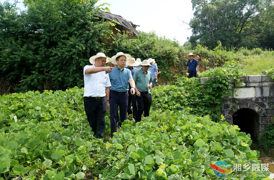 谢岸烨到乡镇督导抗旱并开展巡河工作