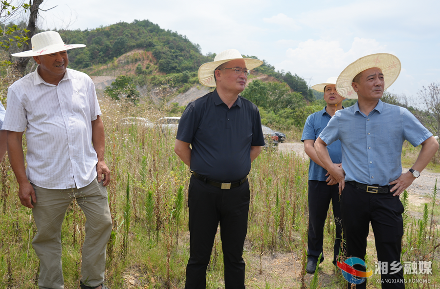 【大兴调查研究】赵新文到龙洞镇开展“走找想促”活动