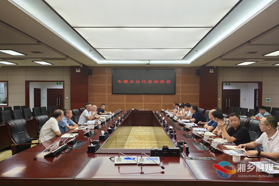 【狠抓项目年 全力拼经济】郭勇：更好统筹安全与发展 推动电镀产业高质量发展