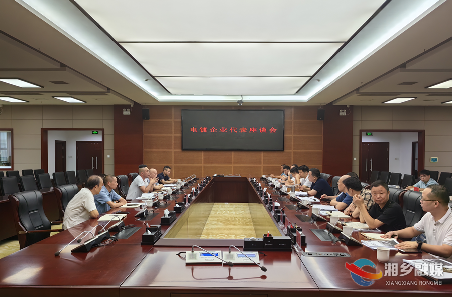 【狠抓项目年 全力拼经济】郭勇：更好统筹安全与发展 推动电镀产业高质量发展