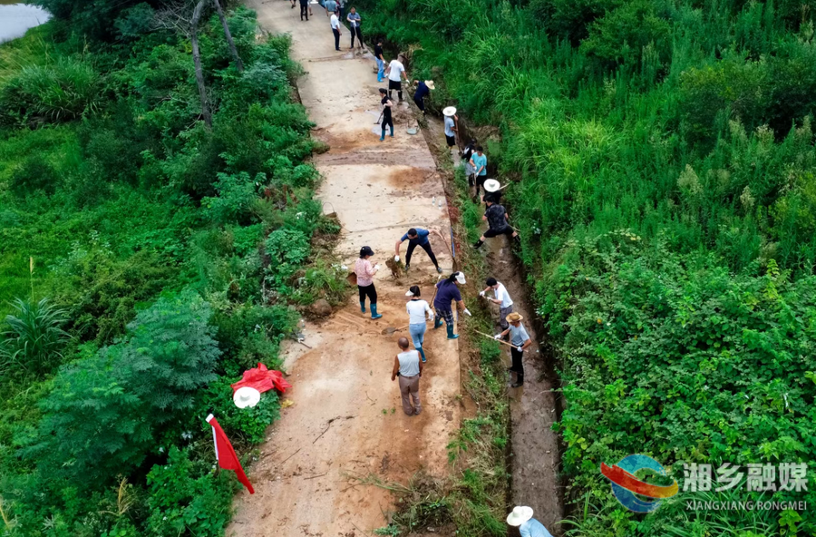 他们撸起袖子，为金薮乡的农田引来“活水”