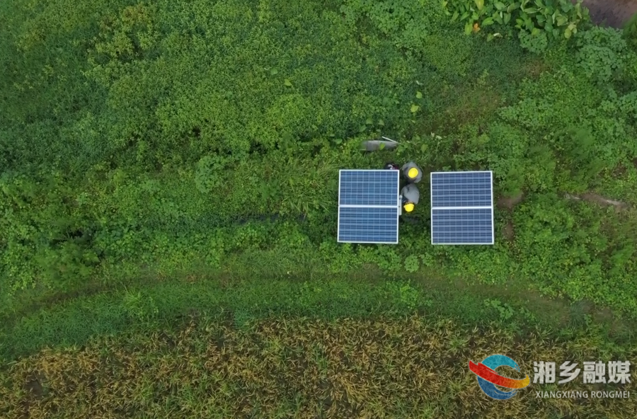 阳光变“雨露” 湘乡的稻田这样“解渴”