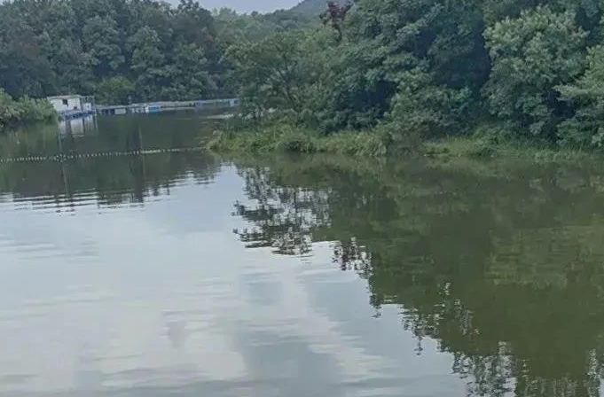 成功避险！湘乡3个单位和1名同志获通报表扬！