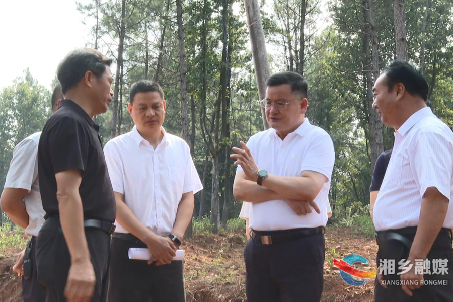 【“走找想促”活动】赵新文调研“两茶两羊”产业发展