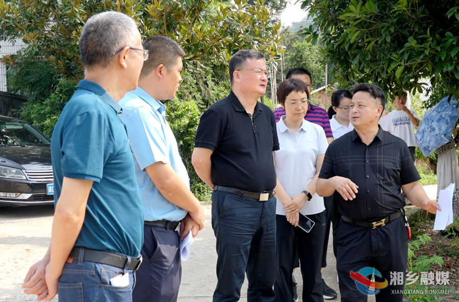 【“走找想促”活动】赵新文：因地制宜发展乡村产业 为推进乡村振兴注入强大动能