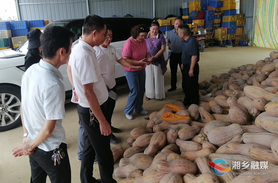 珠海市溢康农产品有限公司来湘乡考察农产品市场