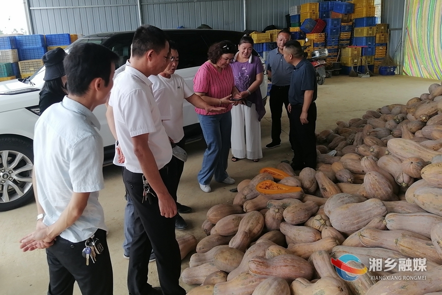 珠海市溢康农产品有限公司来湘乡考察农产品市场