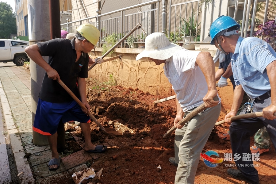 湘乡经开区：清理卫生死角 打造美丽园区