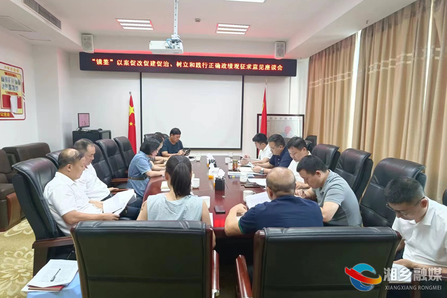 郭勇主持召开市政府党组班子“镜鉴”专题民主生活会会前征求意见座谈会