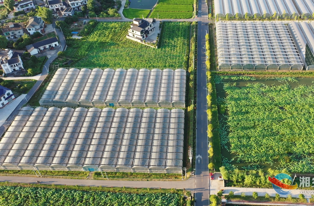 全国首批农业产业强镇发布，湘乡这个地方入选