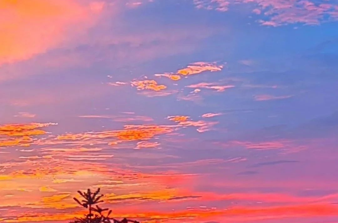 今日白露 | 清风白露，岁月无忧