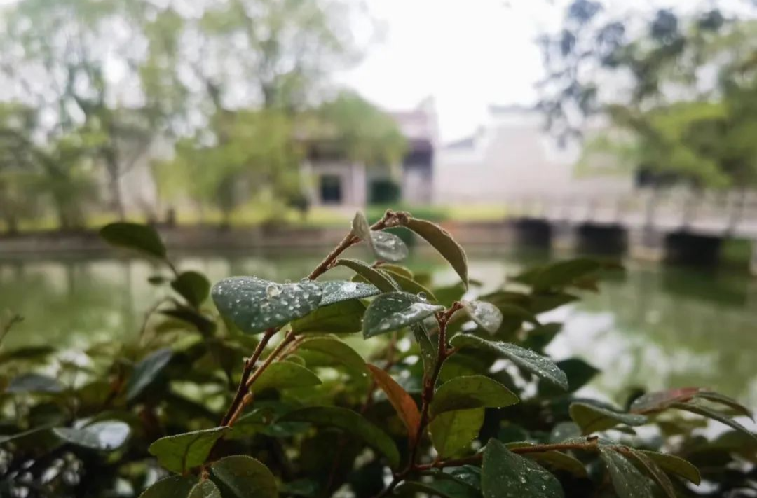 降10℃！湘乡即将“一夜入秋”，记得添加衣服……