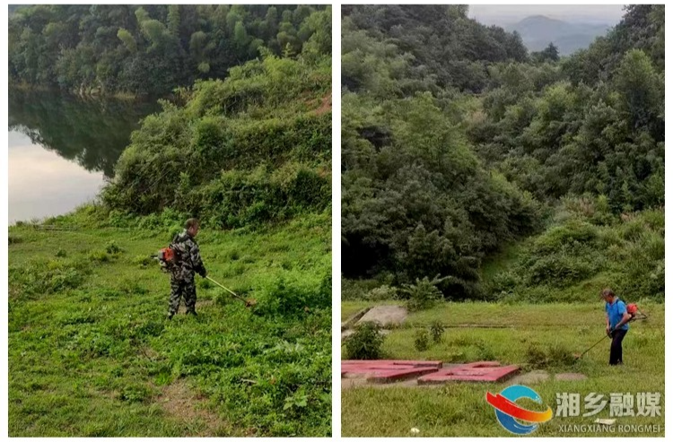 [山枣镇]清除水库杂草 守护碧水清波