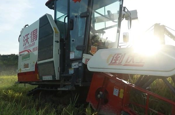 碎田变良田 湘乡15万亩中稻迎来好“丰”景！