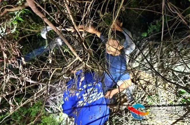 湘乡六旬老人山中迷路近十小时，幸亏他们来了……