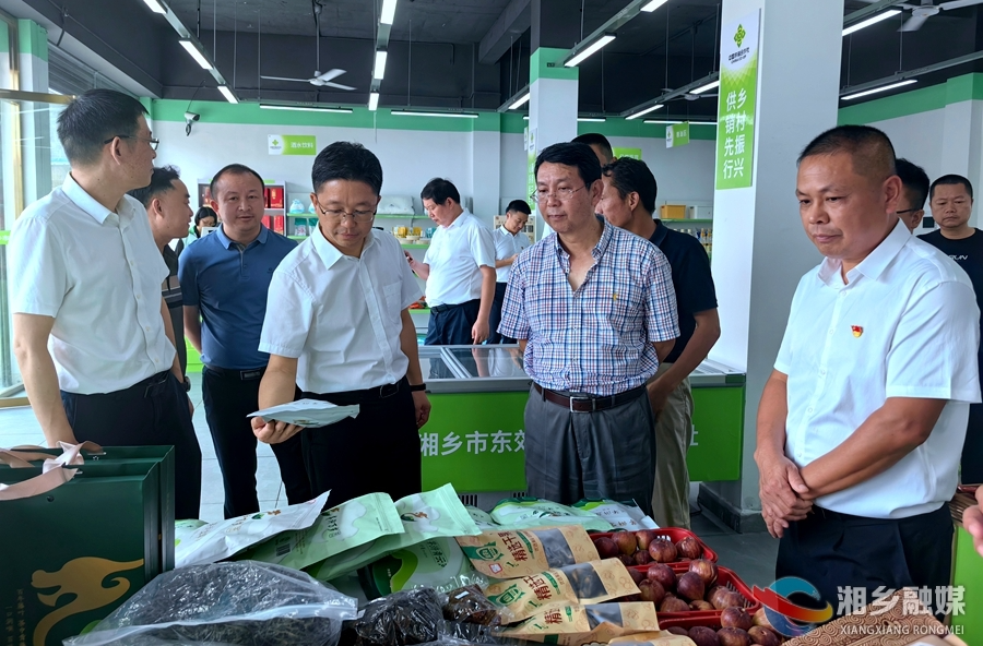 全国供销合作总社调研组到湘乡调研供销合作社工作