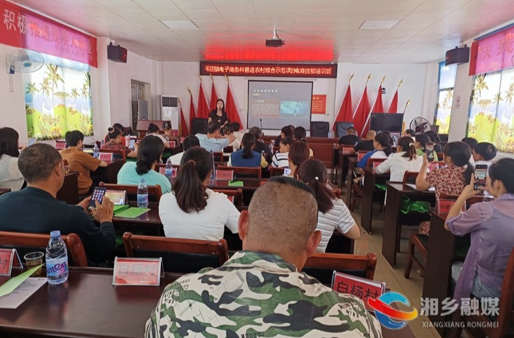 [毛田镇]开展电商培训 助力乡村振兴