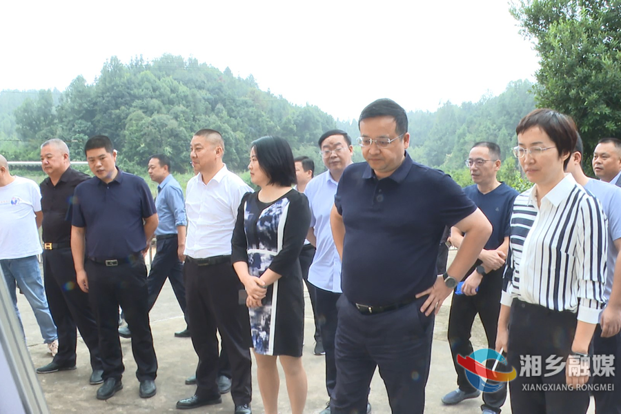 四级人大代表联动挖掘乡村历史文化资源
