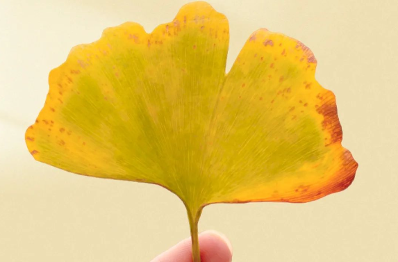 今日秋分 | 平分秋色 收获美好