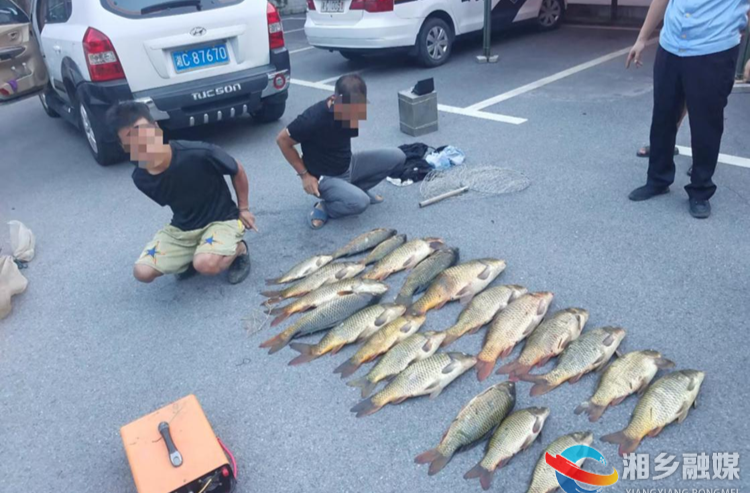 [农业农村局]查获非法电捕鱼 保护涟水河生态