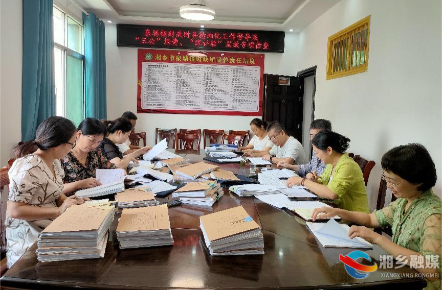 [泉塘镇]开展财政工作专项检查 持续筑牢财务管理防线