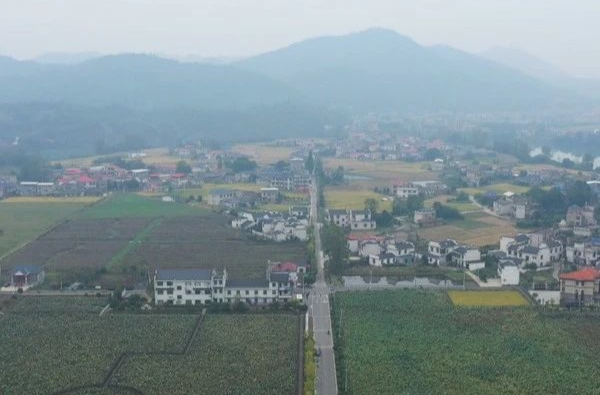 【高质量发展看湘乡】“四好农村路”串起乡村振兴好“途”景