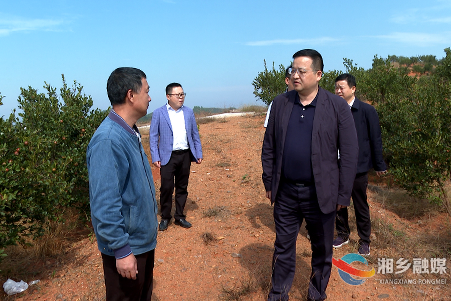 【“走找想促”活动】郭勇：做优特色产业 增强“造血”能力 促进农业增效农民增收