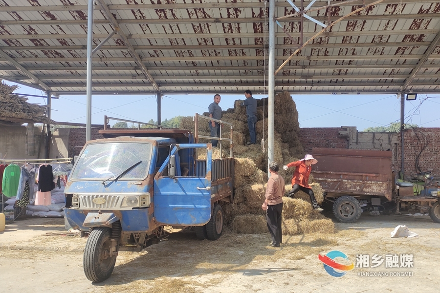 【碧水蓝天生态湘乡】湘乡：秸秆回收做饲料 “变废为宝”增效益